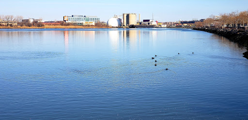 Stadium «Citi Field», reviews and photos, 123-01 Roosevelt Ave, Queens, NY 11368, USA