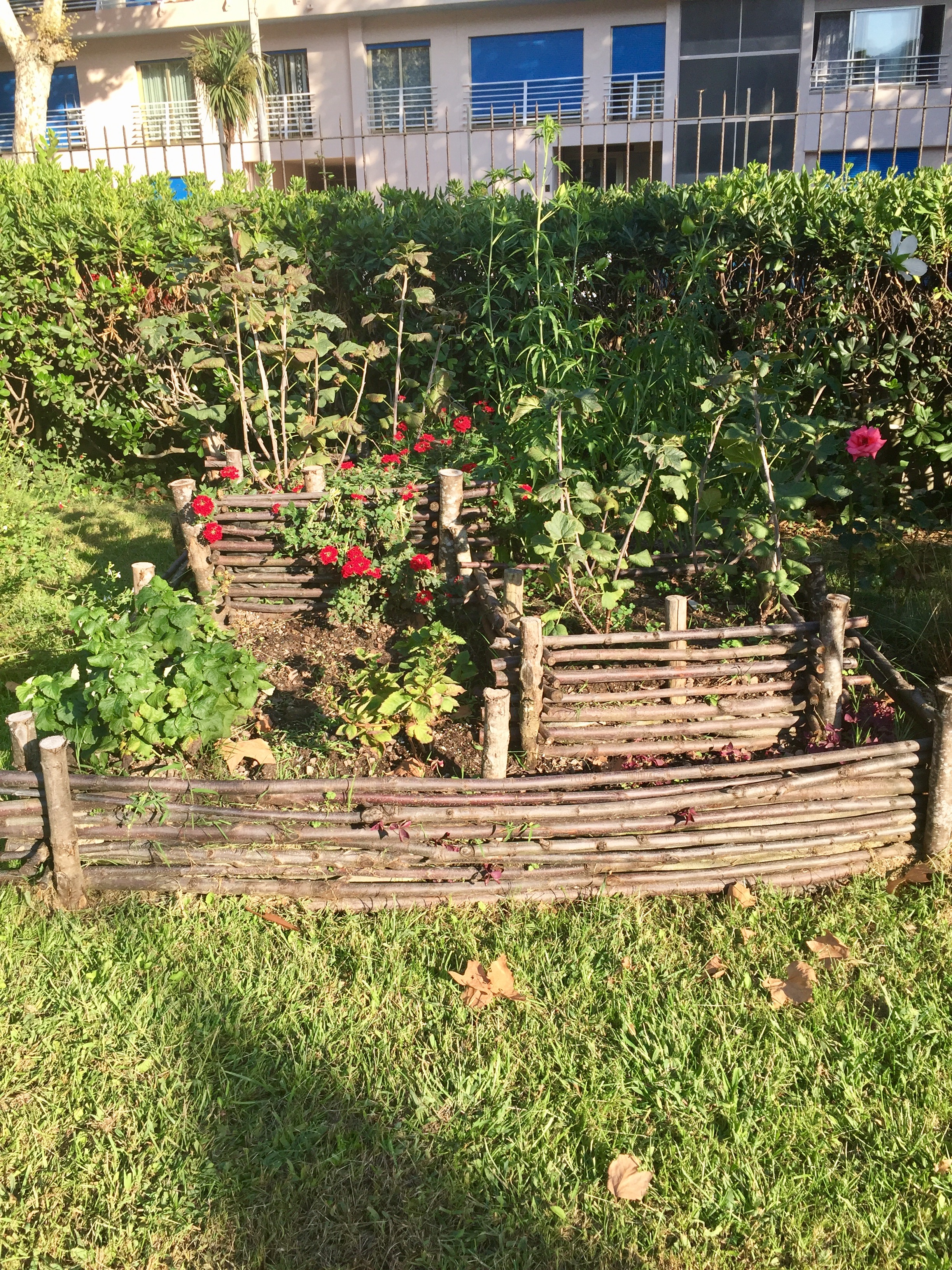 Photo n° 13 de l'avis de khaled.o fait le 05/09/2017 à 16:14