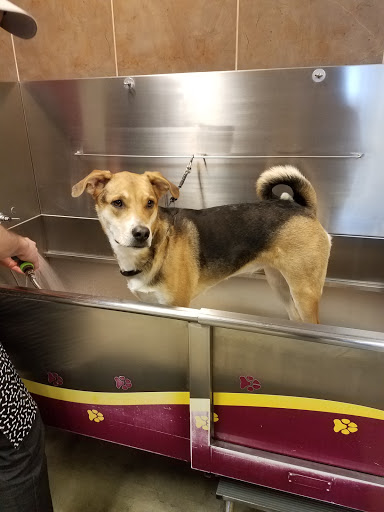 Pet Store «Healthy Pets Mountain West», reviews and photos, 2352 Fort Union Blvd, Cottonwood Heights, UT 84121, USA