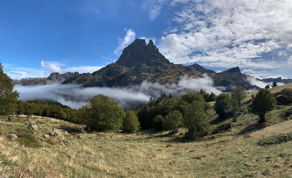 Photo n° 2 de l'avis de Bleuet. fait le 28/12/2023 à 13:28