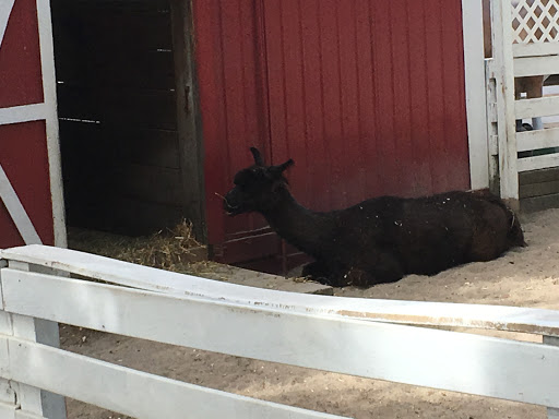 Zoo «Washington Park Zoo», reviews and photos, 115 Lake Shore Dr, Michigan City, IN 46360, USA