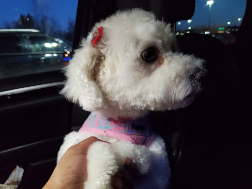 Pet Supply Store «PetSmart», reviews and photos, 2347 N Telegraph Rd, Monroe, MI 48162, USA