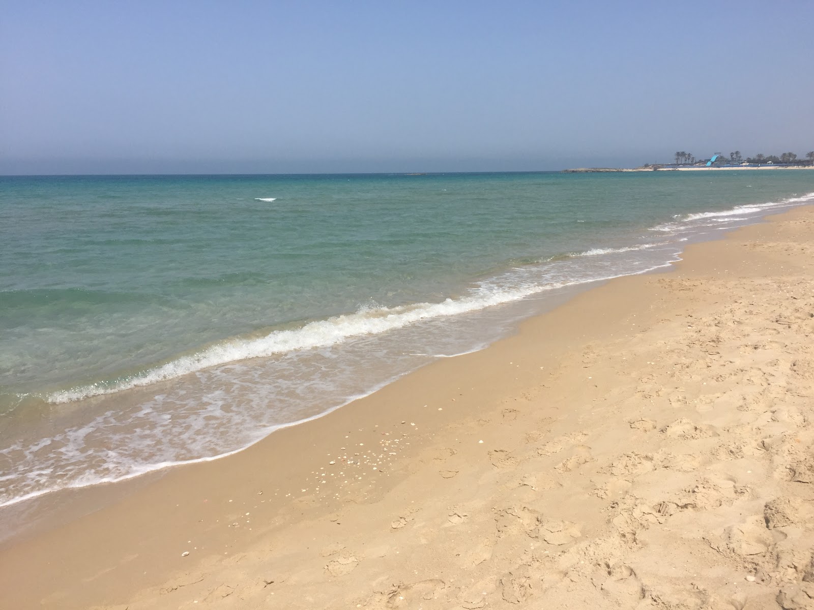 Photo of Neve Yam beach - good pet friendly spot for vacation
