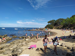 Plage des Sables Jaunes'in fotoğrafı düz bir kıyı şeridi ile birlikte