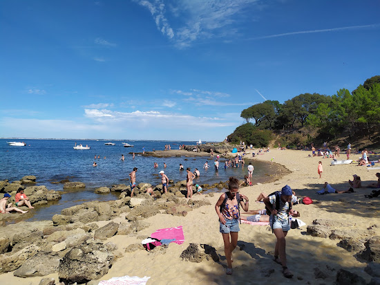 Sables Jaunes Beach