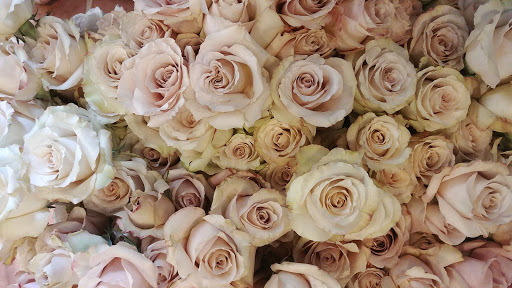 Florist «Ithaca Flower Shop», reviews and photos, 1201 N Tioga St, Ithaca, NY 14850, USA