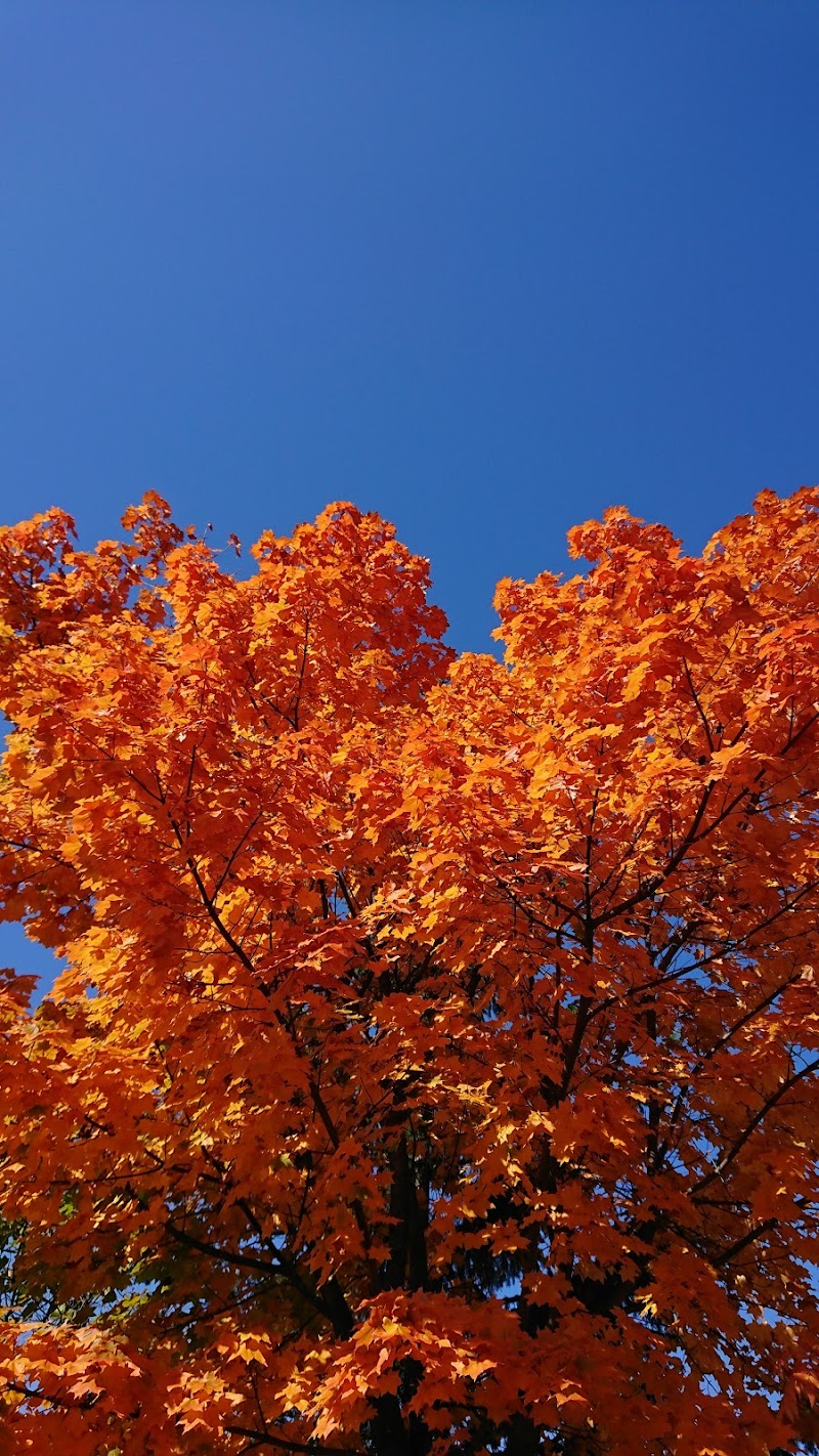 SOMPOケア札幌澄川 居宅介護支援