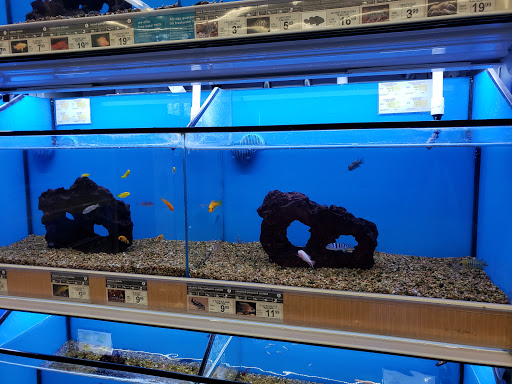 Aquarium shop El Monte