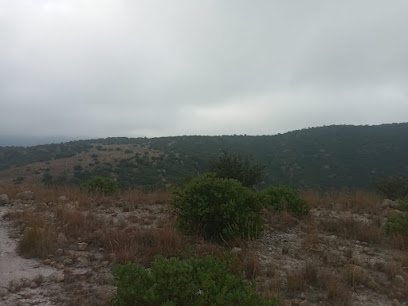 Área Nacional Protegida Sierra de San Miguelito