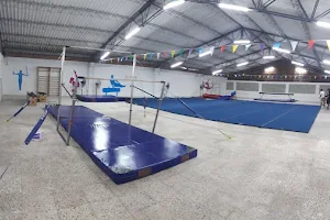 Gymnastics Gold Barranquilla image