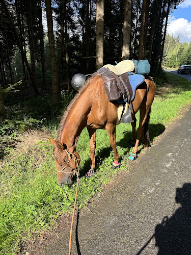 Les Chevaux de Capucine à Doranges