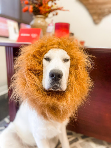 Insurance Agency «Ashley Berry - State Farm Insurance Agent», reviews and photos