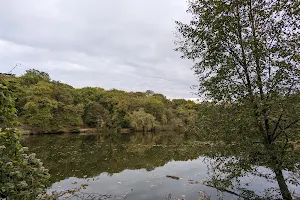 Forêt domaniale de Meudon image