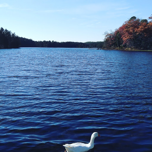 Community Park «Wells Mills County Park», reviews and photos, 905 Wells Mills Rd, Waretown, NJ 08758, USA