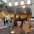 "Major" – Durham Bull Bronze Sculpture