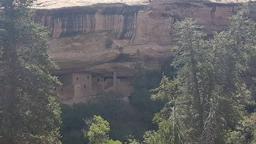Archaeological Site «Cliff Palace», reviews and photos