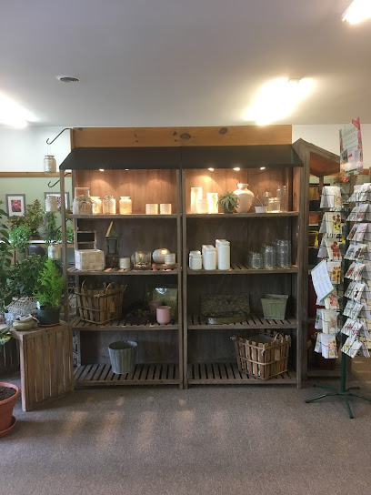 Village Garden Store Ltd