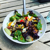 Pick Plants 4 Life - Photo 3 - Car repair in Austin, TX, Round Rock