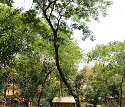 Majapahit Training Center photo