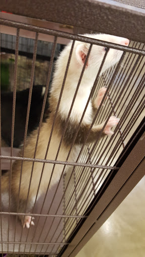 Pet Supply Store «Pet Supplies Plus», reviews and photos, 1970 Portage Trail, Cuyahoga Falls, OH 44223, USA