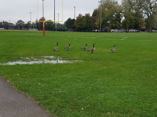 Park «Hinkley Park», reviews and photos, 25 Busse Hwy, Park Ridge, IL 60068, USA