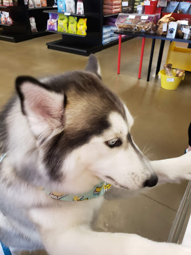 Pet Supply Store «Dog Krazy, Inc.», reviews and photos, 10681 Spotsylvania Ave, Fredericksburg, VA 22408, USA