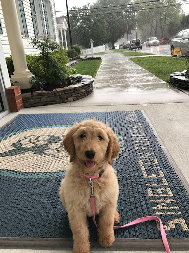 Funeral Home «Singleton Funeral & Cremation Services, PA», reviews and photos, 1 2nd Ave SW, Glen Burnie, MD 21061, USA