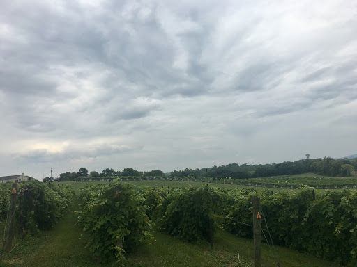 Vineyard «Veramar Vineyard», reviews and photos, 905 Quarry Rd, Berryville, VA 22611, USA