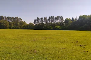 Annfield Plain Park image