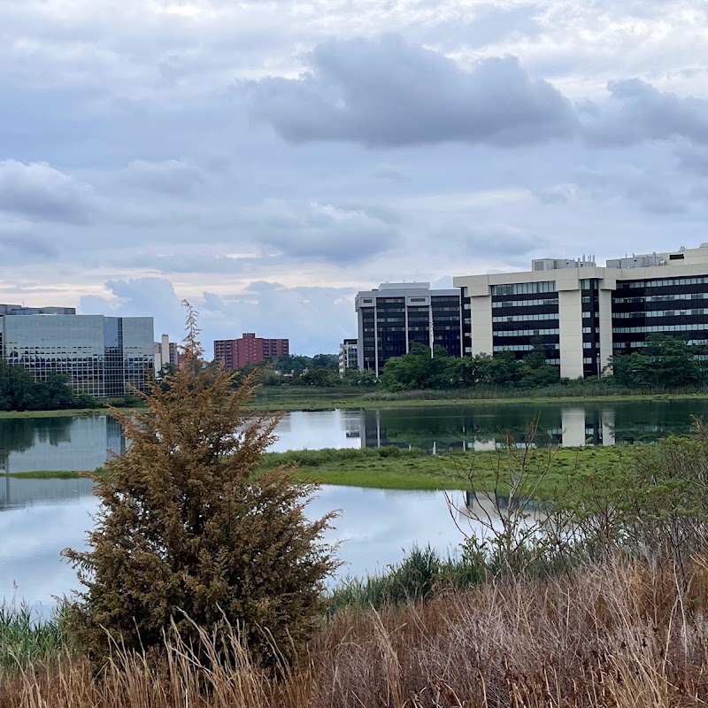 Pope John Paul II Park