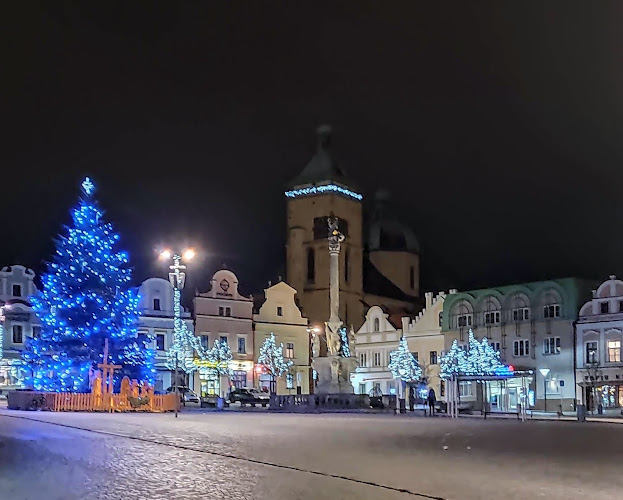 Komentáře a recenze na Mariánský morový sloup