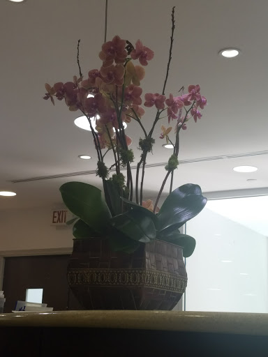 Laser Hair Removal Service «Miracle Laser & Skin Care Institute», reviews and photos, 3181 Coral Way #302, Miami, FL 33145, USA