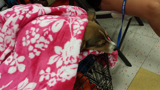 Pet Supply Store «Petco Animal Supplies», reviews and photos, 4820 South Baldwin Road #3B, Orion Township, MI 48359, USA