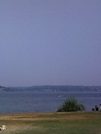 Park «Matthews Beach Park», reviews and photos, 5100 NE 93rd St, Seattle, WA 98115, USA