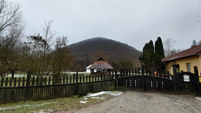 Szalamandra Ház - Kemping