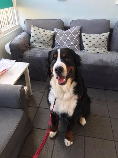 Voo Vets Wandsworth en London