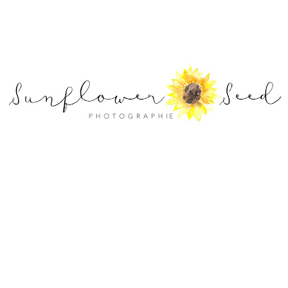 SunFlower Seed {photographie}