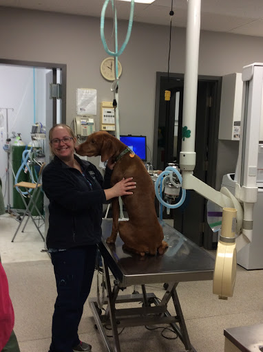 Coventry Animal Hospital image