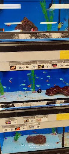 Pet Supply Store «Petco Animal Supplies», reviews and photos, 13691 Ridgedale Dr, Minnetonka, MN 55305, USA