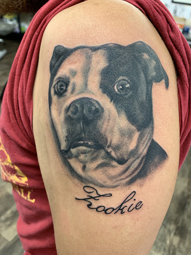 Explore skeleton tattoo ideas, creative tattoo ideas in Mount Vernon, available at Ink Expression