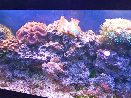 Tropical Fish Store «Monfort Aquarium & Pet», reviews and photos, 6520 Colerain Ave, Cincinnati, OH 45239, USA