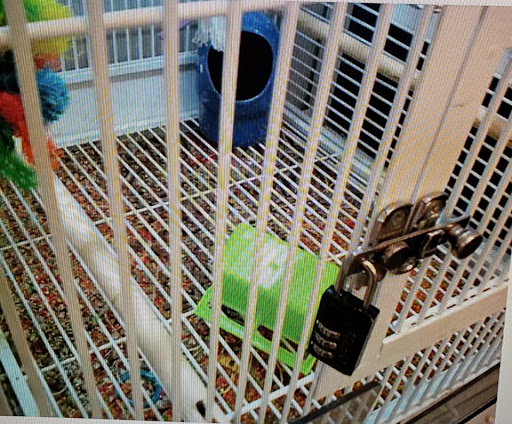 Pet Supply Store «Pet Supplies Plus», reviews and photos, 2223 Concord Pike, Wilmington, DE 19803, USA