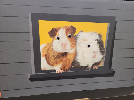 Pet Supply Store «PetSmart», reviews and photos, 3540 Youngfield St, Wheat Ridge, CO 80033, USA