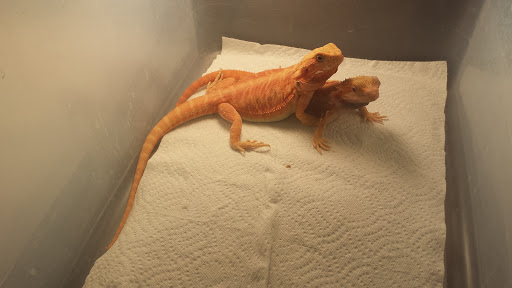 Pet Store «Olathe Pet Shop», reviews and photos, 16651 151st St, Olathe, KS 66062, USA