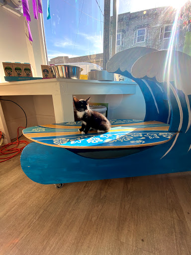 Pet Supply Store «Cole Valley Pets», reviews and photos, 910 Cole St, San Francisco, CA 94117, USA