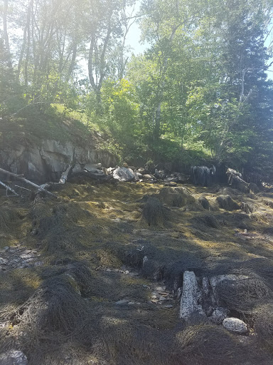 Nature Preserve «Johnson Field Preserve at Mackerel Cove», reviews and photos, 25 Abner Point Rd, Bailey Island, ME 04003, USA