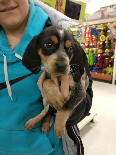 Pet Supply Store «PetSmart», reviews and photos, 1145 W Riverdale Rd, Riverdale, UT 84405, USA