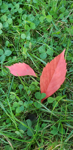 Memorial Park «Frothingham Park», reviews and photos, 15 Park St, North Easton, MA 02356, USA