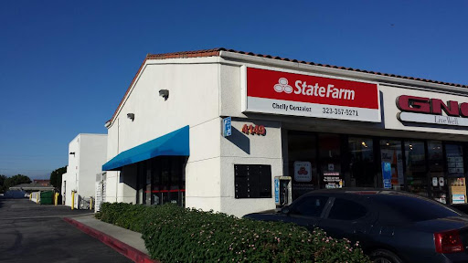 Insurance Agency «Chelly Gonzalez - State Farm Insurance Agent», reviews and photos