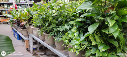 Home Improvement Store «The Home Depot», reviews and photos, 845 W Shaw Ave, Clovis, CA 93612, USA